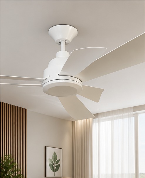 Ceiling Fan